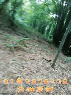 国产成人A在线观看网站站,综合激情网站